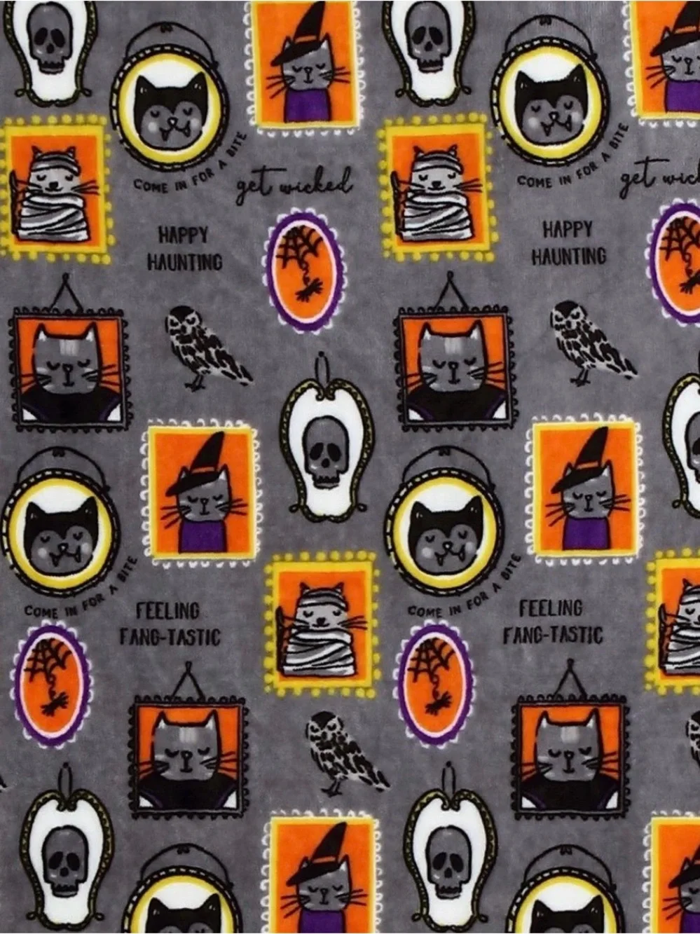 Way to Celebrate Framed Halloween Characters Velvet Plush Throw. 50” By 60”.